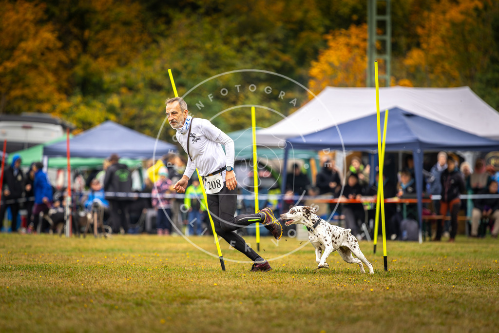 Pfotenfotografie_DV3A2232 | Hundefotografie, Tierfotograf, Pfotenfotografie, Fotoshooting Hund, Hunde Portrait, Hundesport, Hundeportraits, Heideshooting, Hunde, Sportfotograf, Hundefotograf, Turnierhundsport, THS,  - Realisiert mit Pictrs.com
