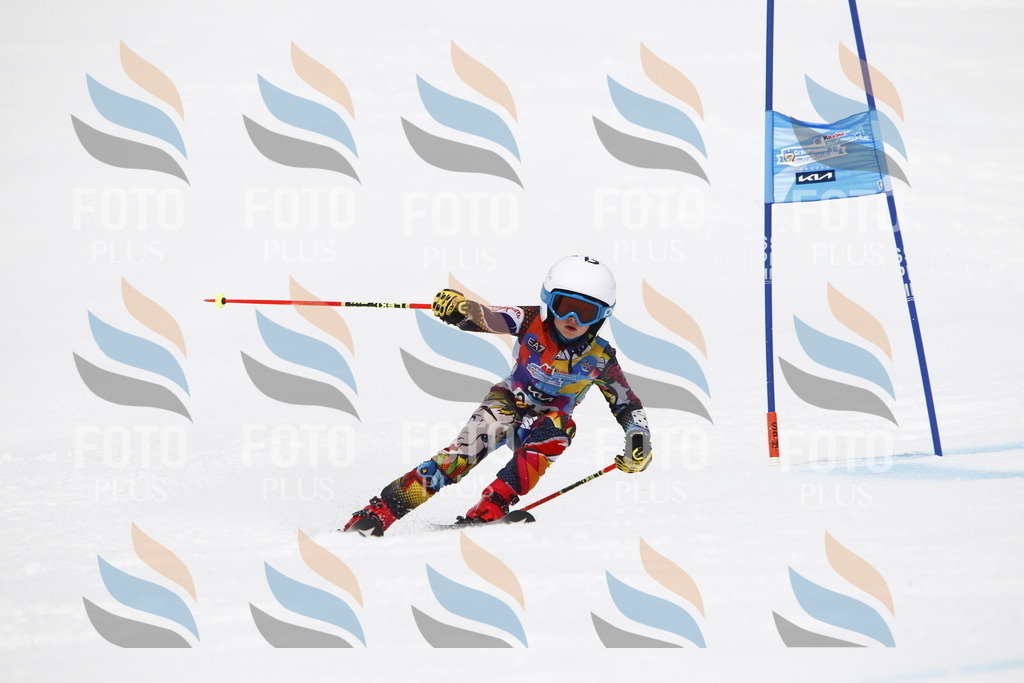 _U3G7732 | holidayphoto