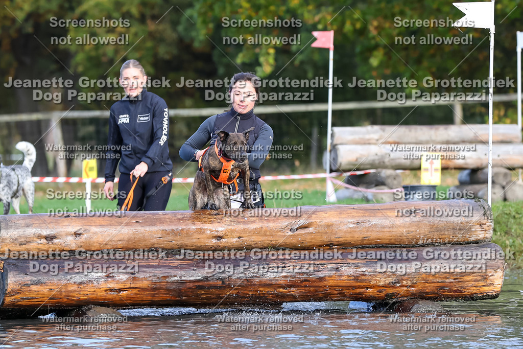 Dog Paparazzi - Strongdog 10-25-8248 | Dog Paparazzi Jeanette Grottendiek Fotografie & Videografie - Realisiert mit Pictrs.com