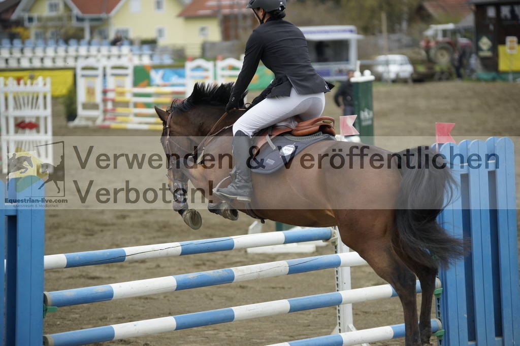 _DSC7278 | equestrian-live-com
