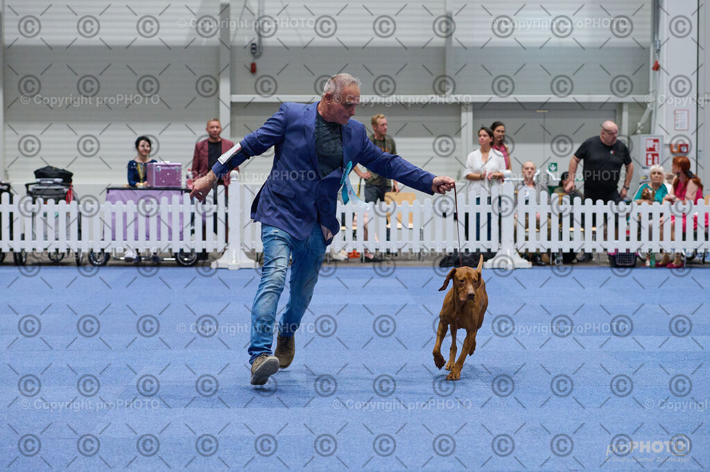 202406_ÖKV-IHA-Tulln24_DSC_3123 | proPHOTO - Realisiert mit Pictrs.com