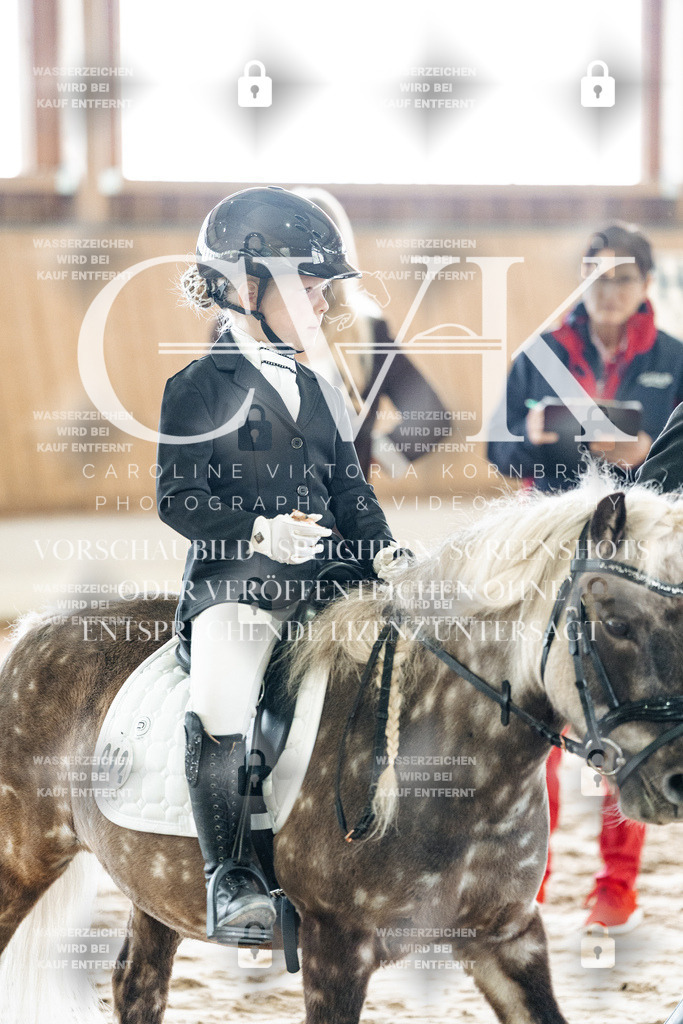 CK902334 | Turnierfotografie Pferdefotografie Trier Rheinland-Pfalz Pferdesport Reitsport Tierfotografie Sportfotografie Pferdevideo Pferdevideografie Equestrianvideography equestrianphotography  - Realized with Pictrs.com