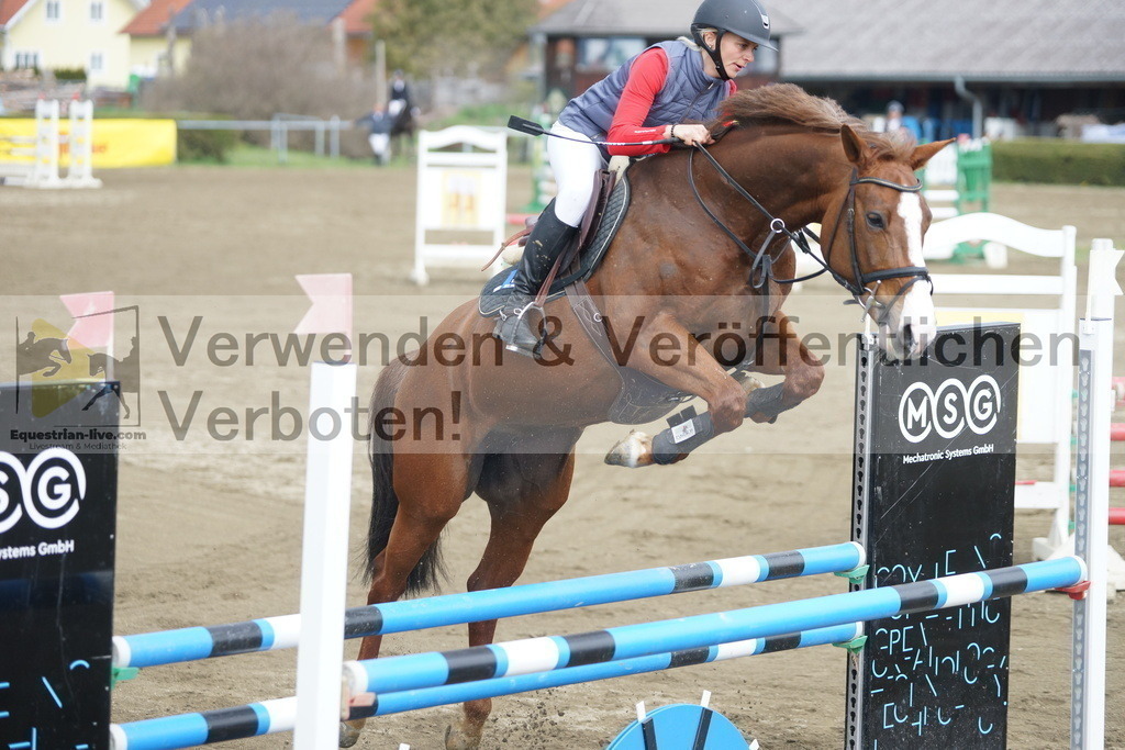 DSC01031 | equestrian-live-com