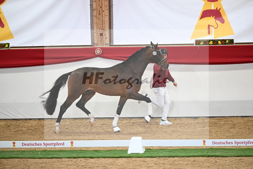 Kat.-Nr. 42 v. Benicio_De Vittorio_2250033 | hf-fotografie - Realisiert mit Pictrs.com