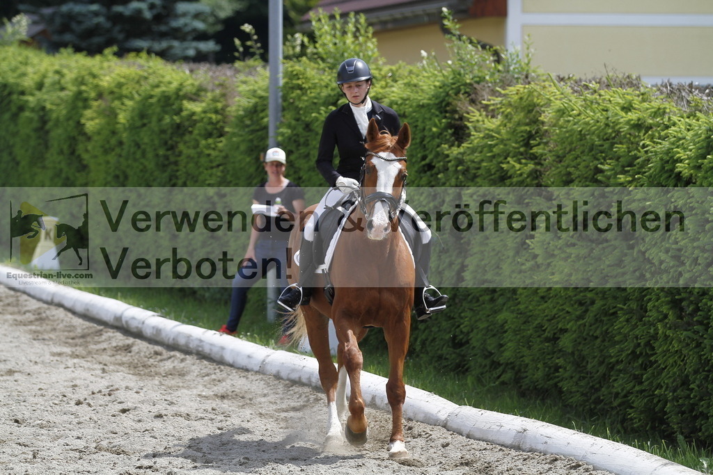 _MG_8692 | equestrian-live-com