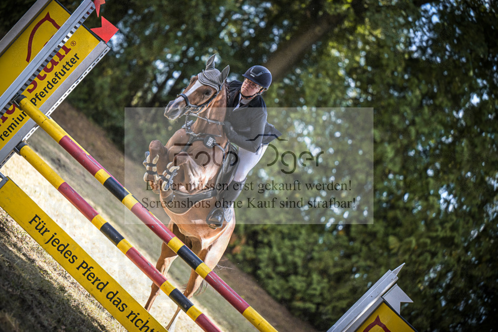 DOS_1542 | Entdecke hochwertige Reitturnierfotos von Foto Oger. Professionell, emotional und authentisch – jetzt Lieblingsmomente im Shop bestellen.Deutschlandweite Turnierfotografie. - Realisiert mit Pictrs.com