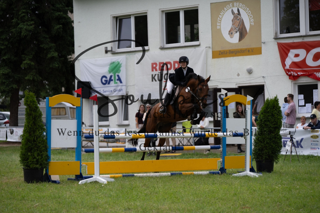 A7V04100 | Pferdefotograf