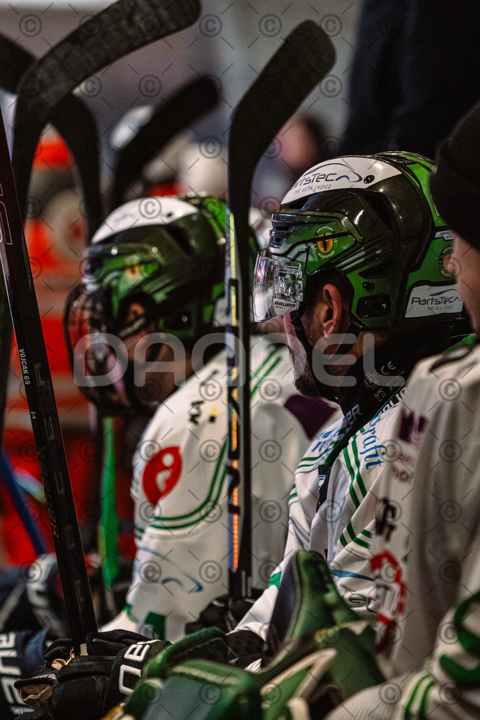 Erding_vs_Alligators_02_01_2026-42 | Höchstadt Alligators Fotogalerie: Eishockey-Action aus Franken. Professionelle Spielfotos, Portraits & Stadionbilder zum Download. Jetzt entdecken! - Realisiert mit Pictrs.com