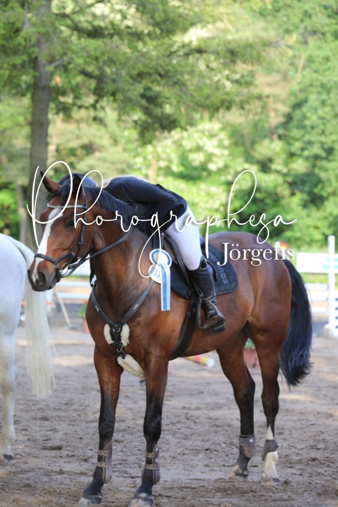 IMG_9152 | photographesa-joergens - Realisiert mit Pictrs.com