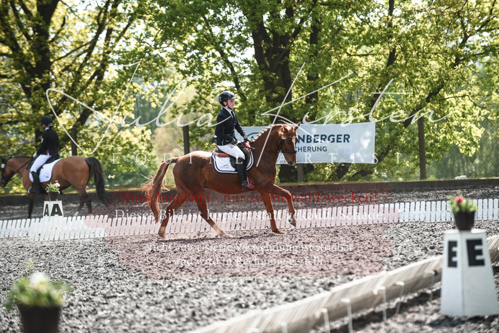 DSC_9054 | Pferde- und Turnierfotografie in Westsachsen. Pferdeportraits, Auftragszeichnungen und intuitive Kunst.