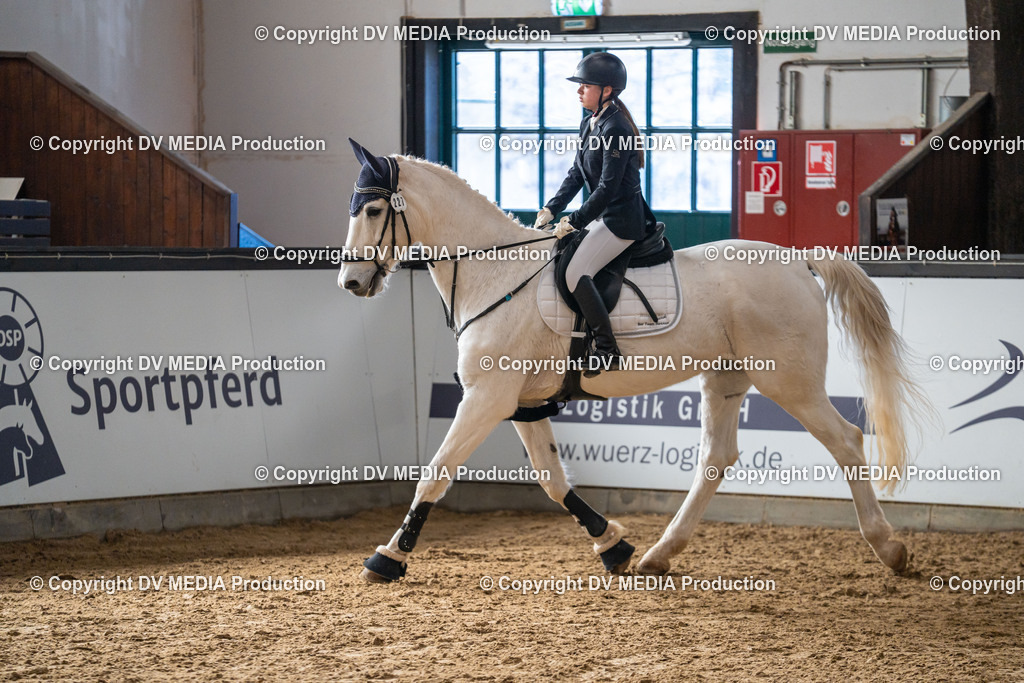 Kranichstein Tag 2-785 | dv-media-shop - Realisiert mit Pictrs.com