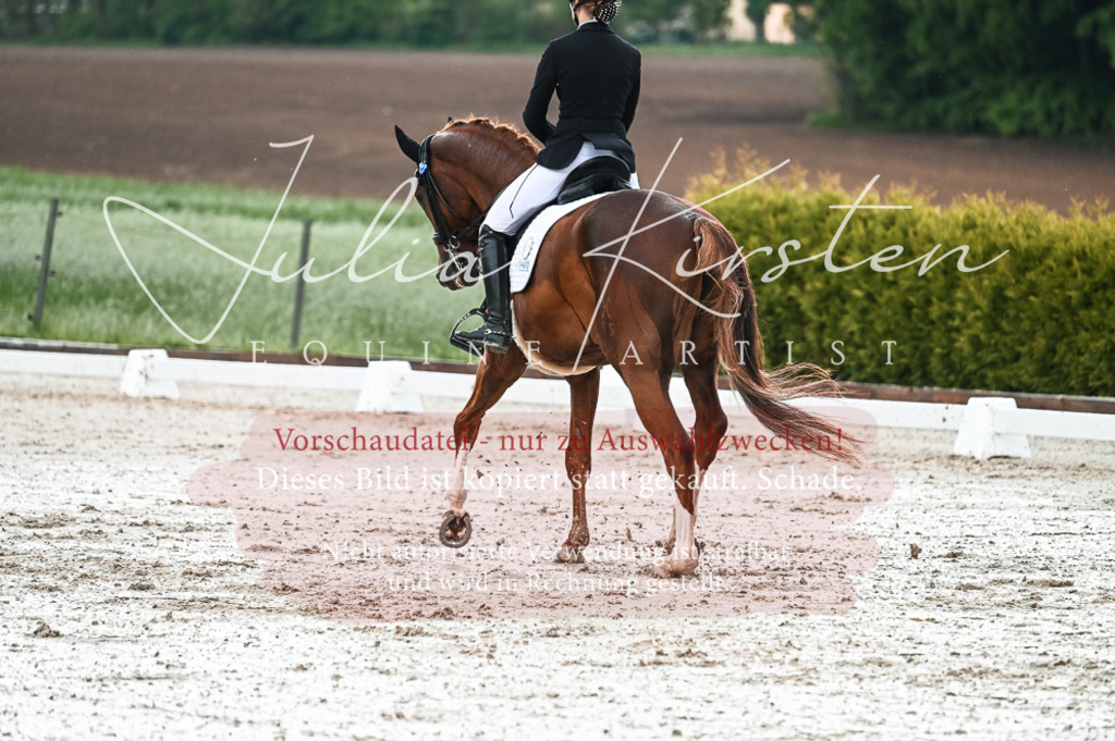 DSC_4285 | Pferde- und Turnierfotografie in Westsachsen. Pferdeportraits, Auftragszeichnungen und intuitive Kunst.