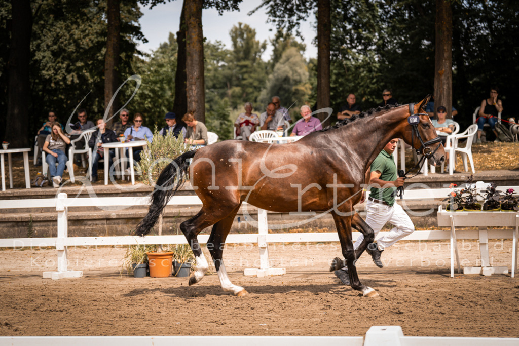 2. Fr00134 | Leoni Ertmer Photography - Realisiert mit Pictrs.com