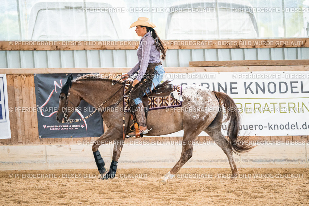 DSC00650 | Pferdegrafie