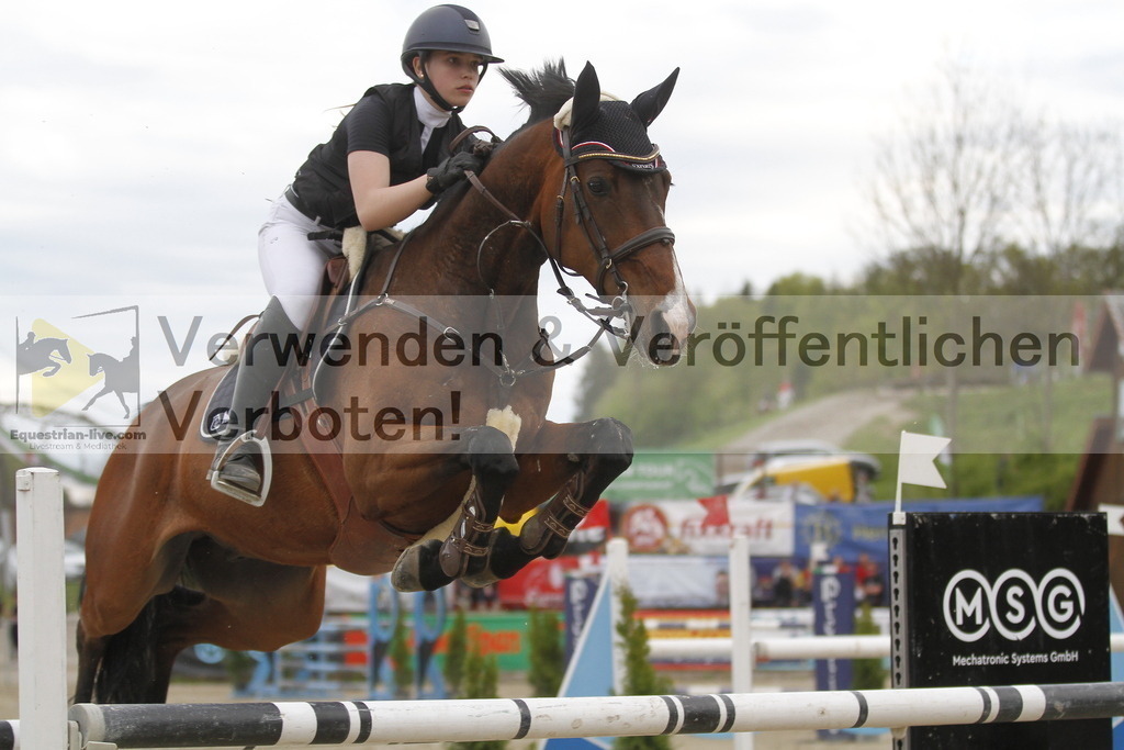 _MG_8483 | equestrian-live-com
