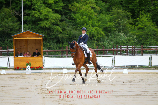 DKP46119 | Turniersportfotografie; Pferdefotografie; Dressurfotografie