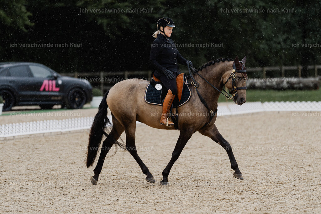Katja7_FHC2025-8481 | working equitationturnier fotograf videograf stoibphotography marixx film working equitation deutschland reitsport turnierfotografie eventfotografie equestrian events
