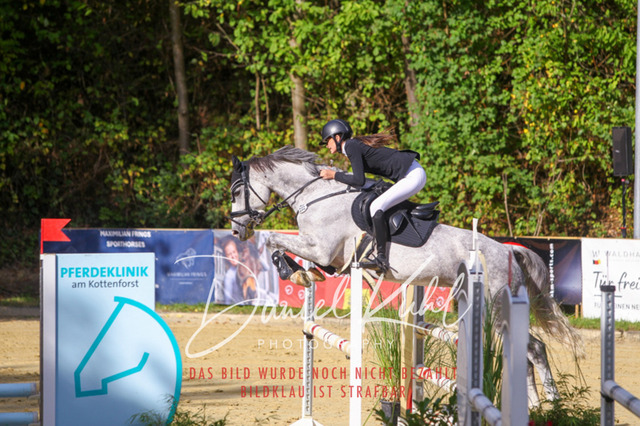 DKP42425 | Deine Turnierfotos vom Reitturnier online kaufen: Dressur, Springen & Siegerehrung. Professionelle Pferdefotografie aus dem Rheinland – als Download & Print.Alternative: Turnierfotograf für den Pferdesport: Finde deine Fotos von Dressur- und Springturnier