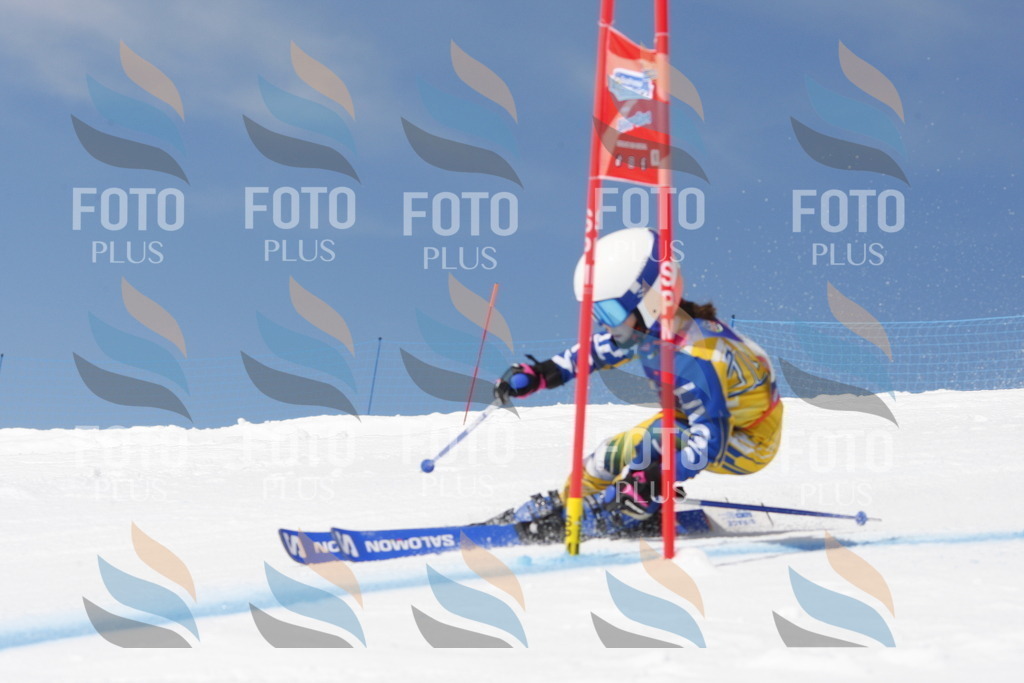 _W1G1764 | holidayphoto