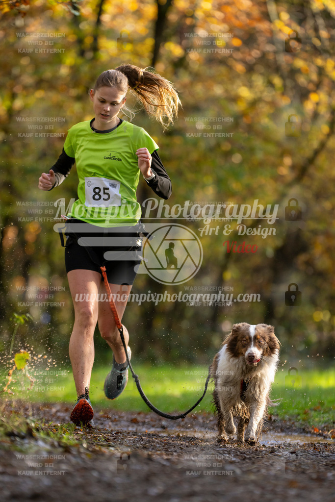 MompixPhotography_Bischwiller23_Canicross-26 | PayLife