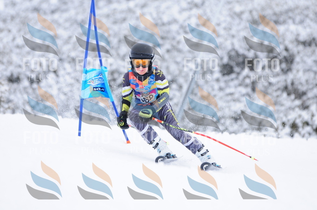 C3929 | holidayphoto