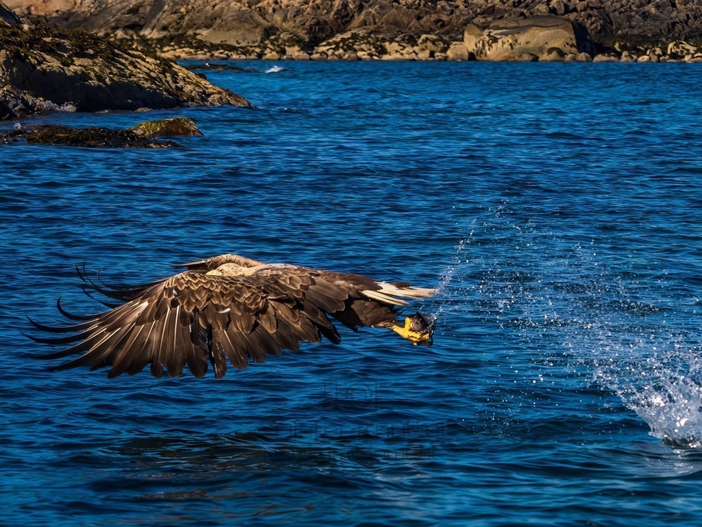 P1001622-LR-topaz-denoise-enhance | Natur im Moment - Realisiert mit Pictrs.com