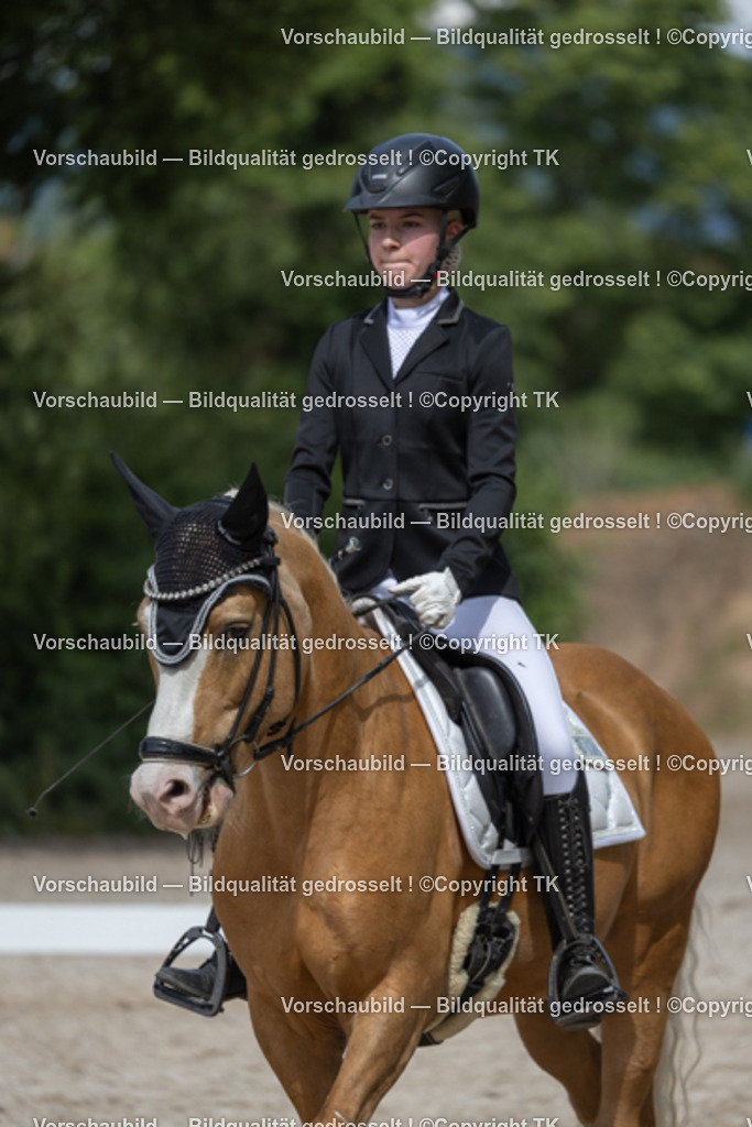 _D5A5432 | Emotionale Pferde- & People-Fotografie rund um Heidelberg, Leimen & Umgebung. Natürliche Fotos von Pferd, Mensch & Familie. Jetzt Termin sichern!