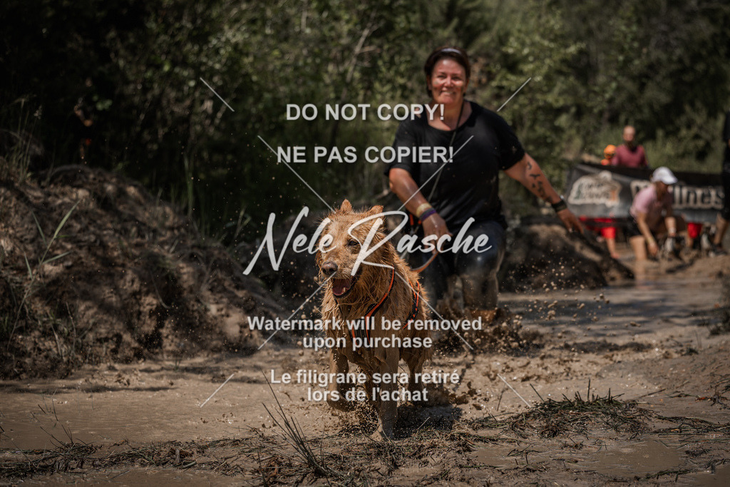 nelerasche_Hoope2026_Sa1330-1400_430 | nelerasche