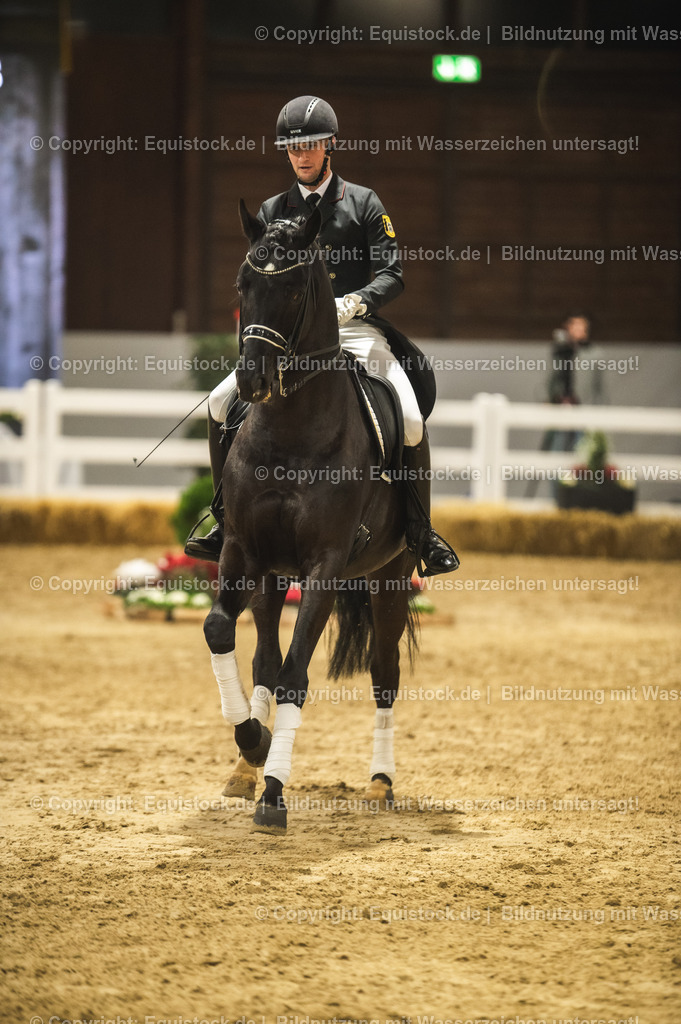 20240302_Hengstvorstellung_Marbach_TOMsPiC_1527-2 | equistock