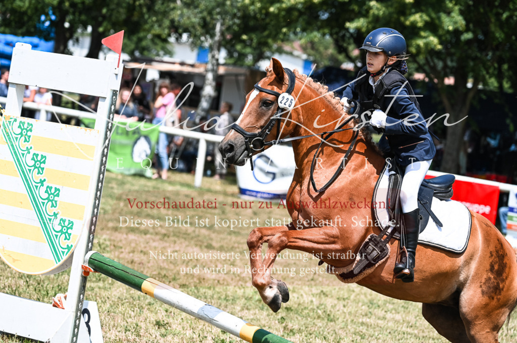 DSC_9672 | Pferde- und Turnierfotografie in Westsachsen. Pferdeportraits, Auftragszeichnungen und intuitive Kunst.