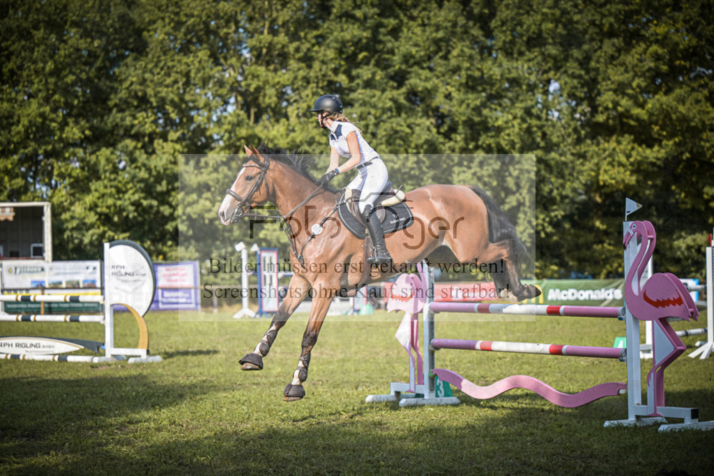 DOS_1300 | Entdecke hochwertige Reitturnierfotos von Foto Oger. Professionell, emotional und authentisch – jetzt Lieblingsmomente im Shop bestellen.Deutschlandweite Turnierfotografie. - Realisiert mit Pictrs.com
