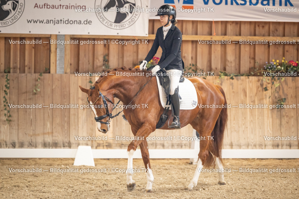 _D5A8611 | Emotionale Pferde- & People-Fotografie rund um Heidelberg, Leimen & Umgebung. Natürliche Fotos von Pferd, Mensch & Familie. Jetzt Termin sichern!