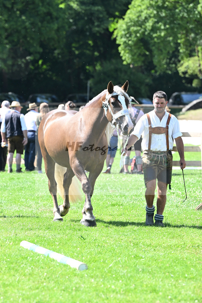 Kat-Nr. 24 Vanilla v. Napoleon_Wirtensohn_18250416 | hf-fotografie - Realizzato con Pictrs.com