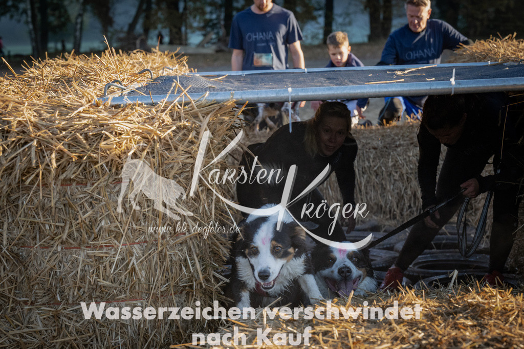 0905_ZZ91198 | kk-dogfotos