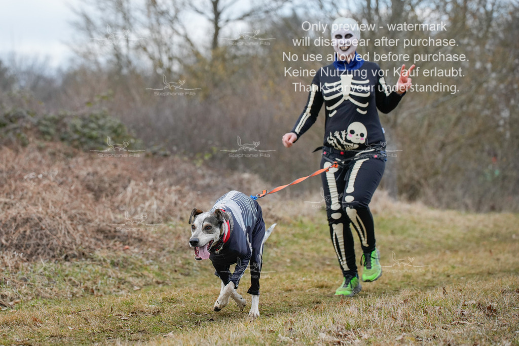 Fasching-29 | stephaniefillaphotographie - Realisiert mit Pictrs.com