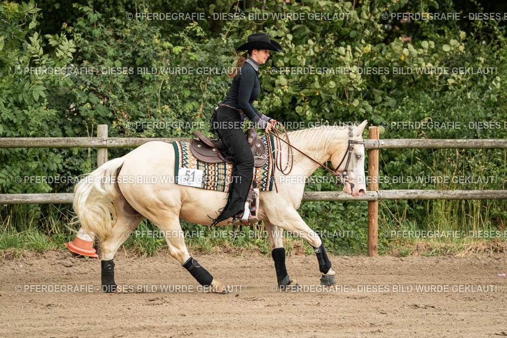 DSC04896 | Pferdegrafie