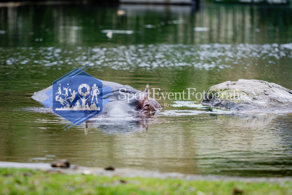 IMG_6182 | SportEventFotografie - Roman Stoiber