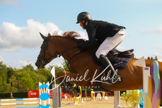 DKP43901 | Turniersportfotografie; Pferdefotografie; Dressurfotografie