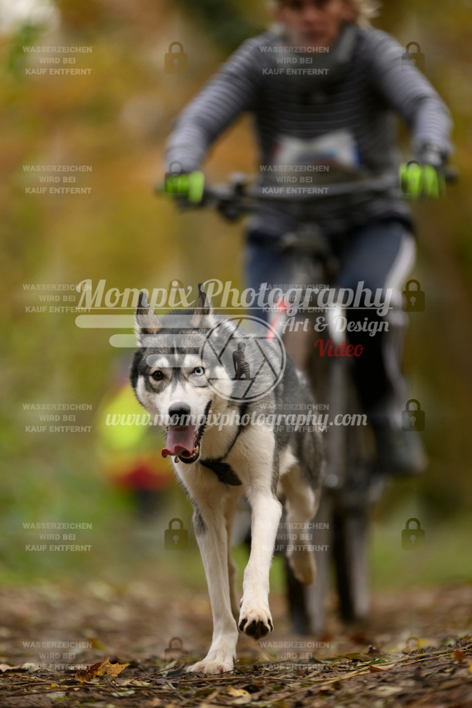 MompixPhotography_Bischwiller24_SA_VTT-48 | PayLife
