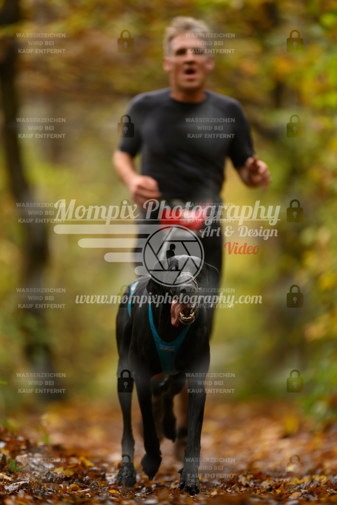 MompixPhotography_CD7S_DI_CCL-36 | mompixphotography