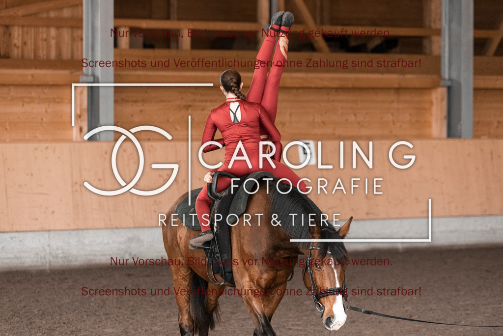 DSC_2066 | Turnierfotografin Carolin Gieschke,Reitsport Turnierfotografie Carolin G Fotografie | Turnierfotos aus Kirchheim/Teck, Esslingen, Stuttgart und dem Bodenseekreis