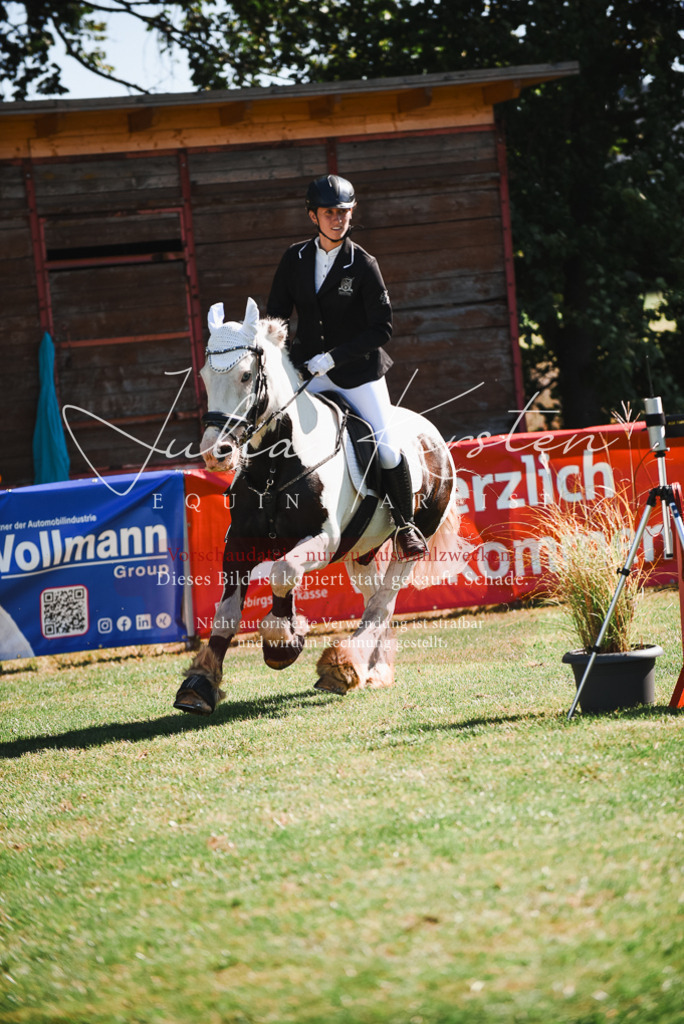 DSC_2583 | Pferde- und Turnierfotografie in Westsachsen. Pferdeportraits, Auftragszeichnungen und intuitive Kunst.