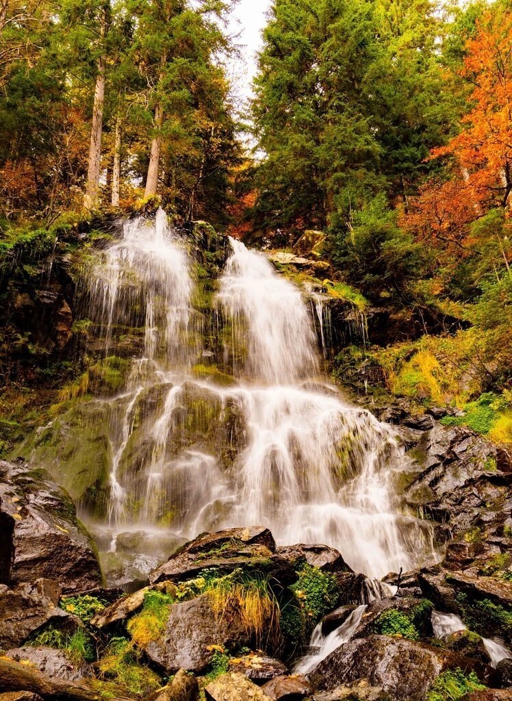 _DSC8493 | fotografie33