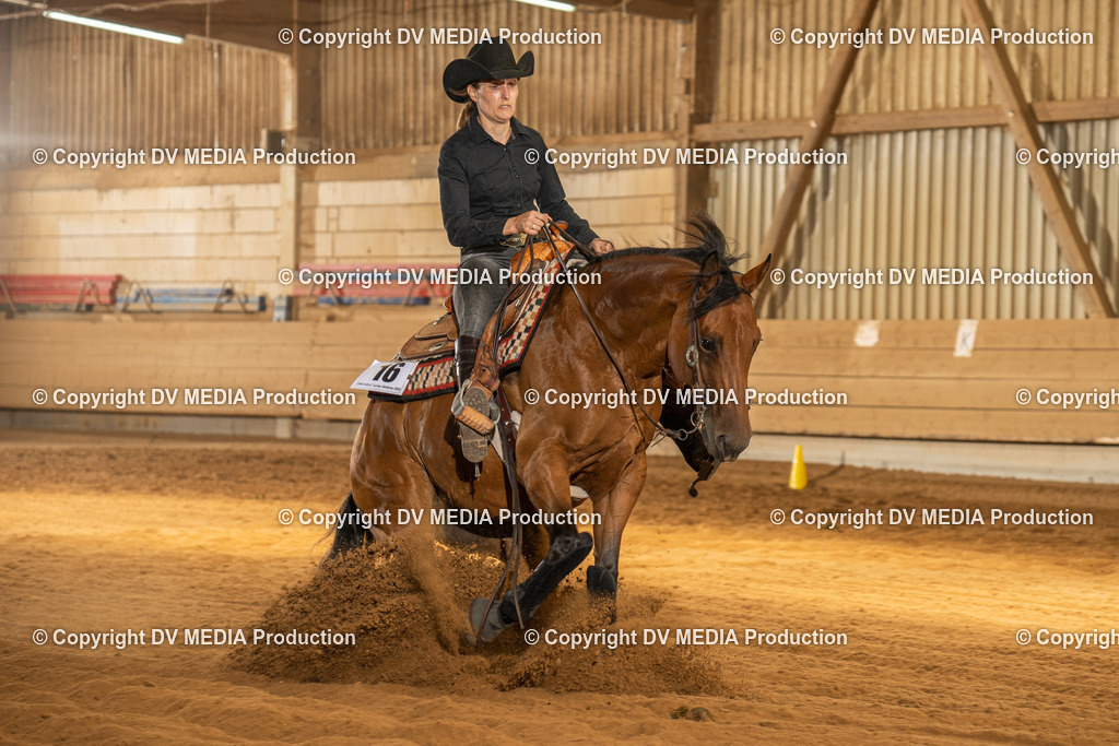 NID02025 | dv-media-shop - Realisiert mit Pictrs.com