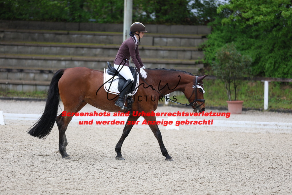 A40A8521 | lmwpictures - Realisiert mit Pictrs.com