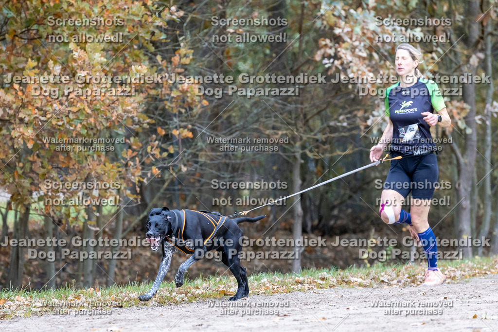 Dog Paparazzi - SD CaniX Championship 2025-610 | Dog Paparazzi Jeanette Grottendiek Fotografie & Videografie - Realisiert mit Pictrs.com