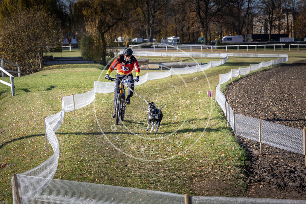 CaniXpix_DV3A5945 | Hundefotografie, Tierfotograf, Pfotenfotografie, Fotoshooting Hund, Hunde Portrait, Hundesport, Hundeportraits, Heideshooting, Hunde, Sportfotograf, Hundefotograf, Turnierhundsport, THS,  - Realisiert mit Pictrs.com