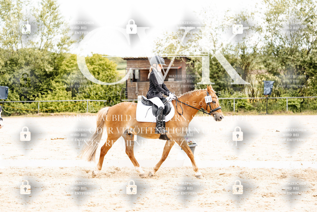 CK904463 | Turnierfotografie Pferdefotografie Trier Rheinland-Pfalz Pferdesport Reitsport Tierfotografie Sportfotografie Pferdevideo Pferdevideografie Equestrianvideography equestrianphotography  - Realisiert mit Pictrs.com