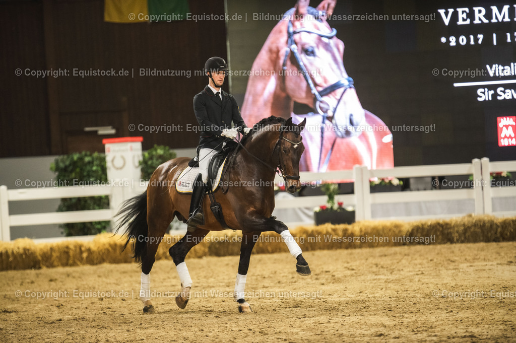 20240302_Hengstvorstellung_Marbach_TOMsPiC_1207 | equistock