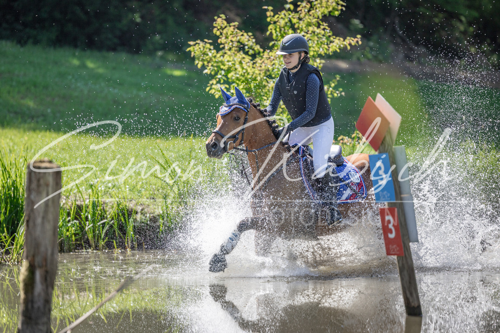 20260523-_3LI7110 | Tierfotografie Pferde, Hunde, Katzen, Haustiere.
Turnierfotografie Reitturniere, Reiten, Springreiten, Dressur in Hanau, dem Main-Kinzig-Kreis und dem Rhein-Main- Gebiet um Frankfurt